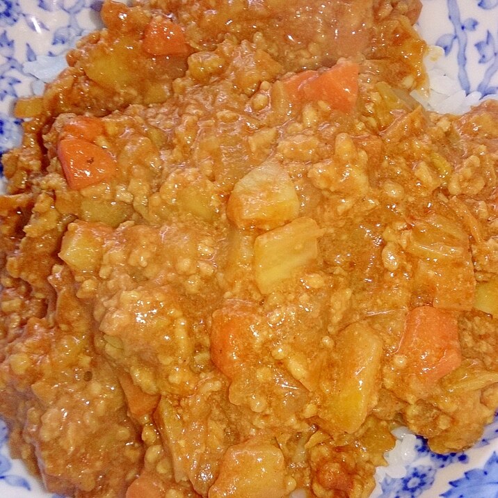 トマト缶でつくる野菜たっぷりドライカレー！！